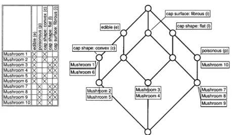 Fig. 8. Example for the T I T A N I C algorithm.