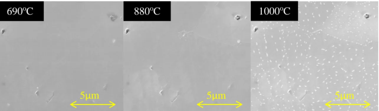 Figure 3. Three micrographs at increasing time/temperature intervals of an LSCF sample  annealed in pure O 2