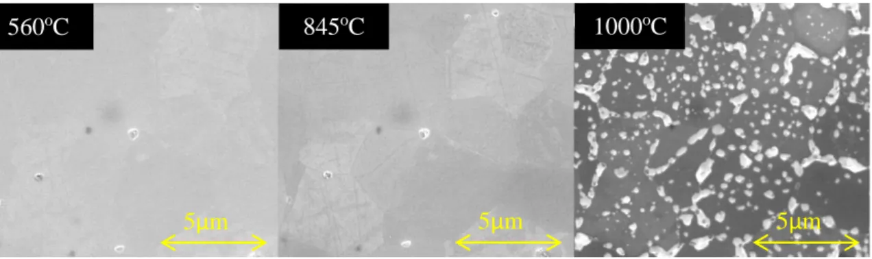 Figure 4. Three micrographs at increasing time/temperature intervals of an LSCF sample  annealed in pure H 2 O 