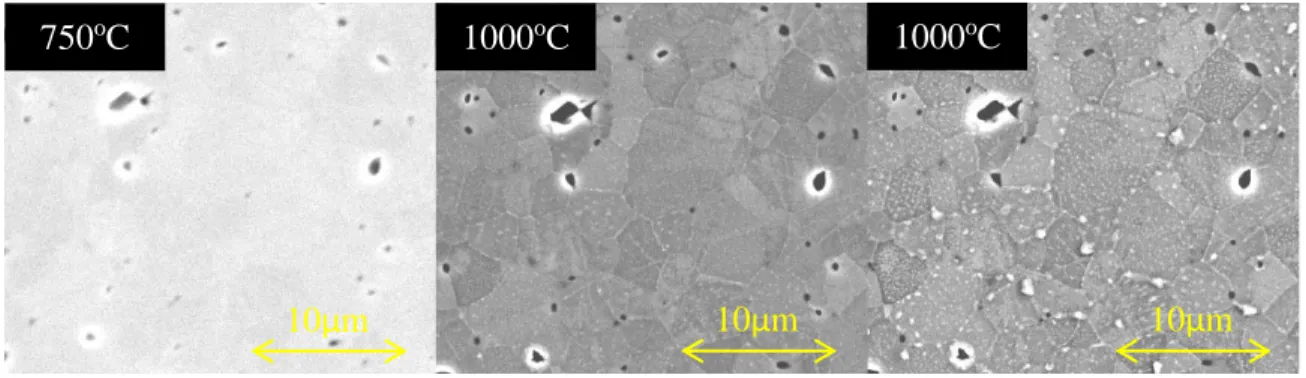 Figure 6. Three micrographs at increasing time/temperature intervals of an LSCF sample  annealed  in  a  vacuum