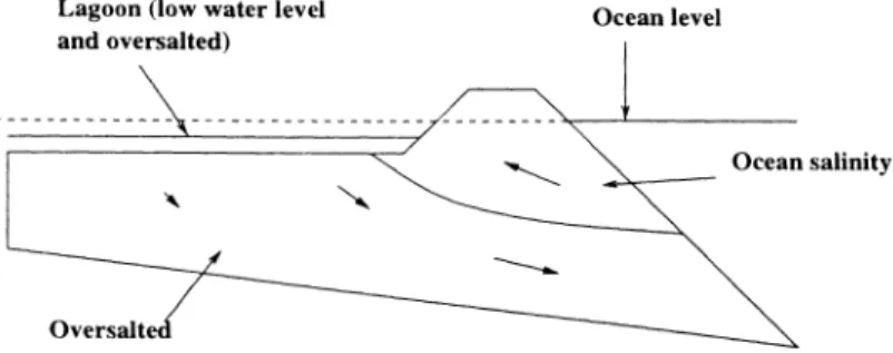 Figure 8: High salinity lagoon behaviour