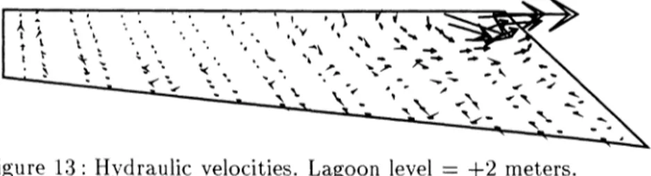 Figure 13 : Hydraulic velocities. Lagoon level — +2 meters.