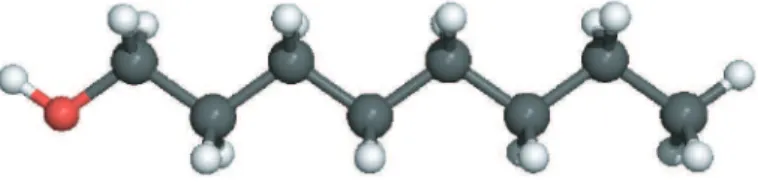 Figure 1. Scheme of 1-Octanol molecule (CH 3 (CH 2 ) 7 OH). Carbon atoms are gray, hydrogen atoms white and oxygen atom is red, respectively.