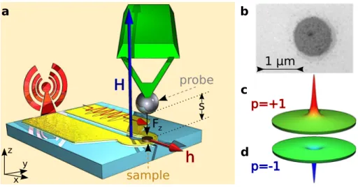 FIG. 1. Experimental setup and sample. a, A magnetic resonance force microscope (see Methods) is used to probe the vortex core dynamics of an individual vortex-state NiMnSb disk (diameter 1 µm, thickness 44 nm)
