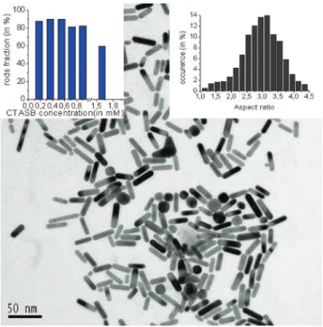 Figure 1 . TEM picture of rods obtained with [CTASB] ) 0.55 mM.