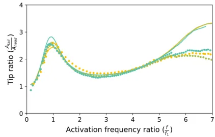 Figure 4: Tail amplitude response A tail normalized by the imposed head amplitude A head