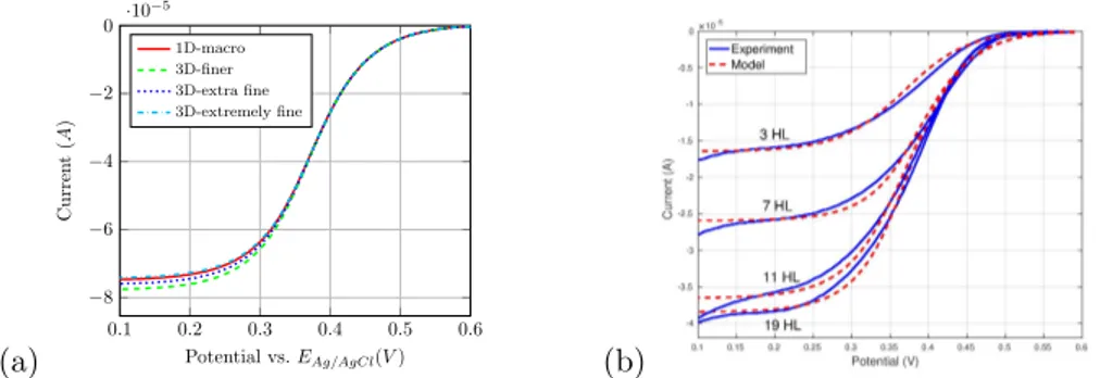 Figure 2: Comparisons between (a) the current curves during voltametry obtained from 3D DNS for different mesh refinements and 1D macroscopic simulation; (b) the macroscopic model numerical simulation and experimental data