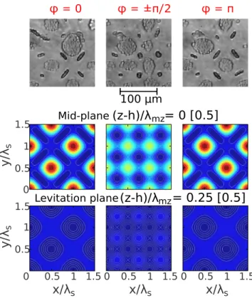 Fig. 10 Upper row: transmission microscope images of RBCs, excited at 0 = 37.1 MHz and 10 Vpp for all IDTs and for 3 different values of ϕ while keeping φ y ← − φ y → and φ x ↑ −φ x ↓ constant (see also Movie S5).