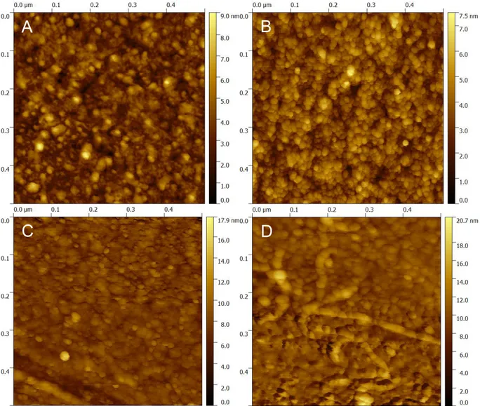 Figure S2. AFM images of monolayers of peptides prepared in the same conditions as SPRI  biochips: (A) bare gold as a reference; (B) Magainin I; (C) Leucocin A 24; (D) Control peptide