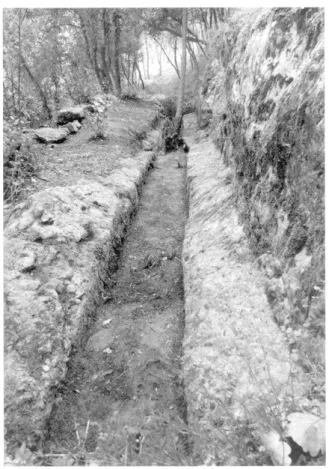 Fig. 4 - Aqueduc d Antipolis, vallon de la Bouillide :  canal taillé dans la roche  (cliché P