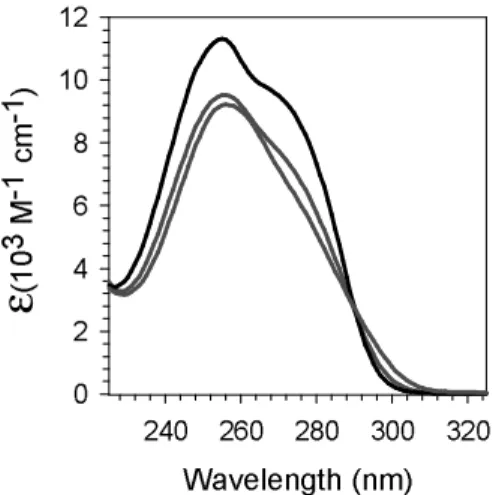 FIGURE 4  Wavelength (nm) 240 260 280 300 320ε(103 M-1 cm-1)024681012