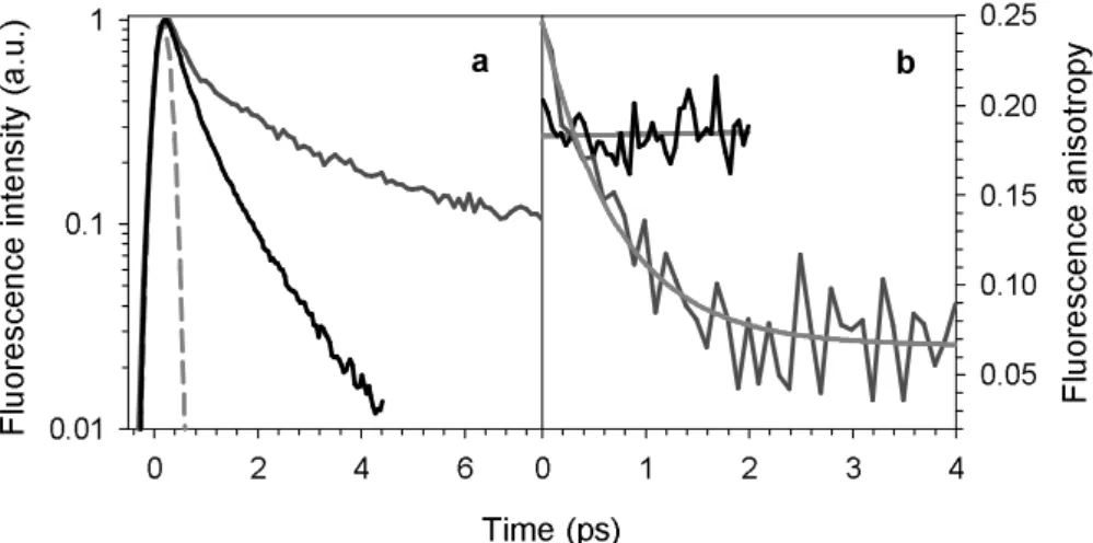 FIGURE 6  Time (ps)0246Fluorescence intensity (a.u.) 0.010.110 1 2 3 4 Fluorescence anisotropy0.050.100.150.200.25ab