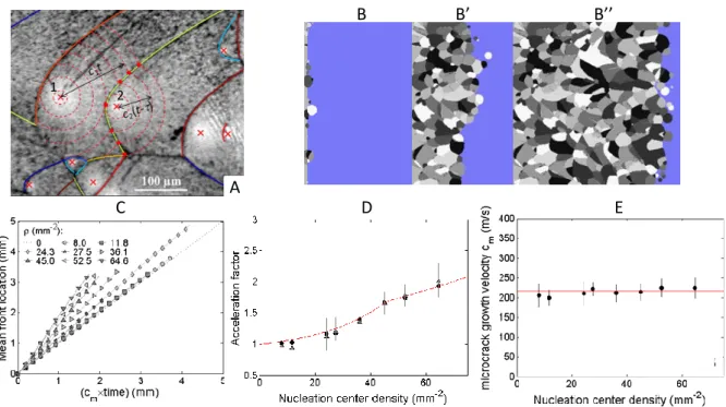 Figure 6. From local front speed within FPZ to apparent speed at the continuum scale. Data are for PMMA