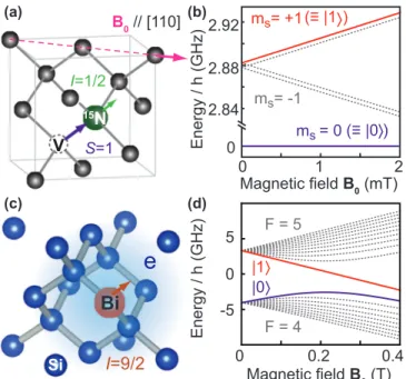FIG. 2. The two spin systems studied in this paper. (a) Schematic of a NV center in diamond crystal