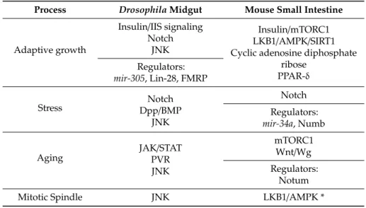 Table 1. Summary of the signaling pathways and their regulators (when known) involved in the gut  responses to adaptive growth, stress, and aging both in Drosophila and the mouse