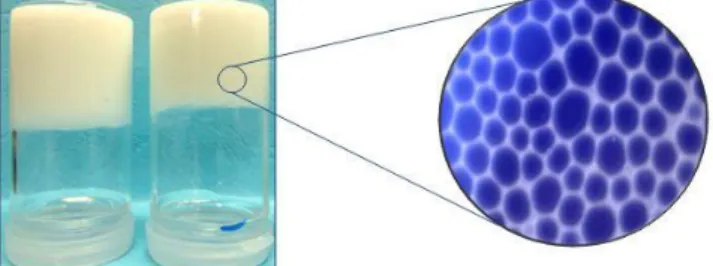 Figure 1: Gel résultant d'une émulsion de Pickering-HIPE avant séchage au CO 2  supercritique  Statut : Doctorant 1 ière  année 