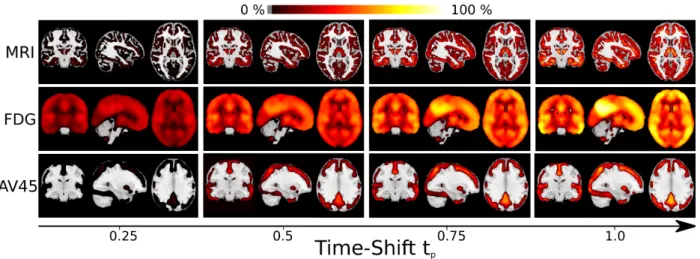 Figure 8: Ratio between the model prediction at time t p and the prediction at t 0 for the three imaging modalities