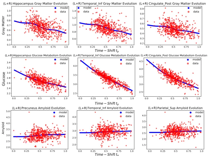 Figure 9: Model prediction averaged on specific brain areas (blue line), and observed values (red dots), along the estimated time-line for the three imaging modalities