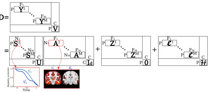 Figure 1: Spatio-temporal decomposition of each data block. A data matrix composed by M imaging modalities is decomposed as the product of monotonic temporal sources S m and corresponding activation maps A m 