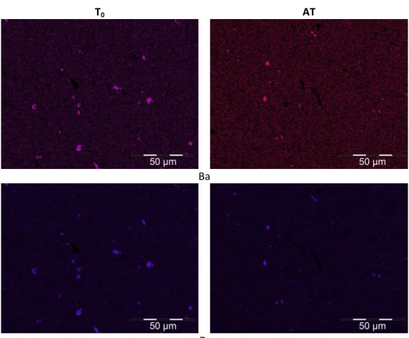 Figure 9: Ba and Zr X-rays maps 