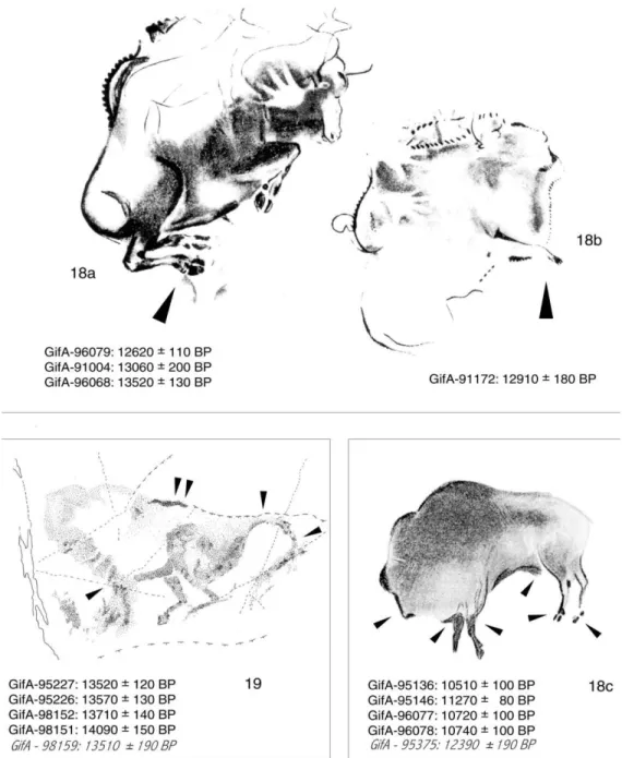 Figure 3 El  Castillo  panel with the four bison. The locations of the four dated bison are indicated along with the  dates obtained on purified charcoals and on humic  fractions (in italics)