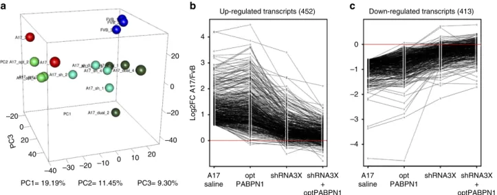 Figure 5 | Transcriptome of A17 muscles treated with the combined approach is normalized to the one of WT mice