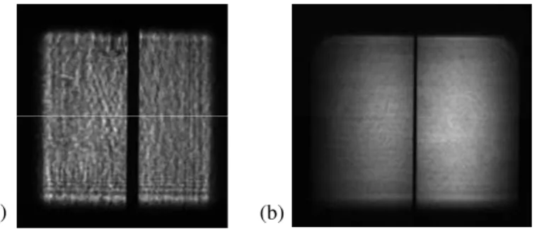 Fig.  2.  Near-field  profile  of  the  output  beam  from  the  compressor.  (a)  for  a  monochromatic  pulse,  (b)  for  a 16 nm  spectral  bandwidth