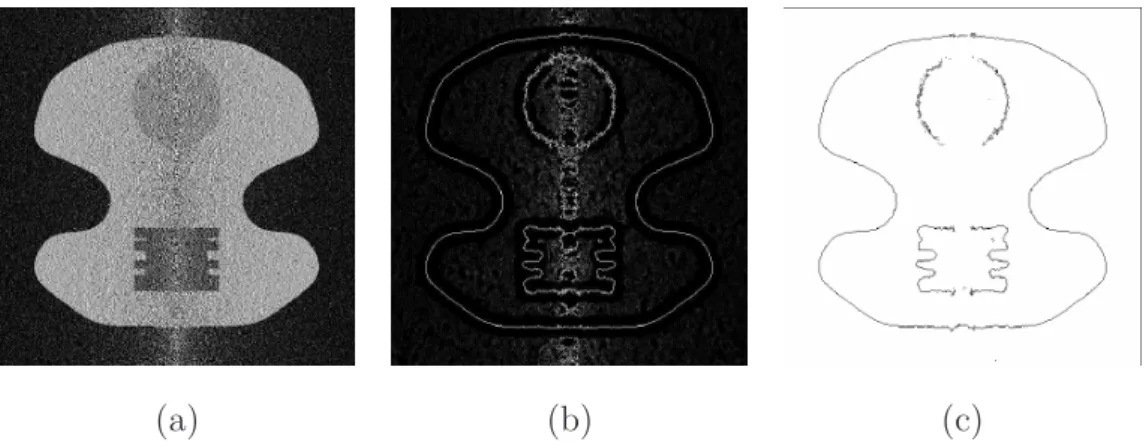 Fig. 9. (a) Reconstructed object from a single noisy radiograph, (b) Contrast value at the zero-crossings of the Laplacian for the contrast function C 1 , (c) Significant edges.