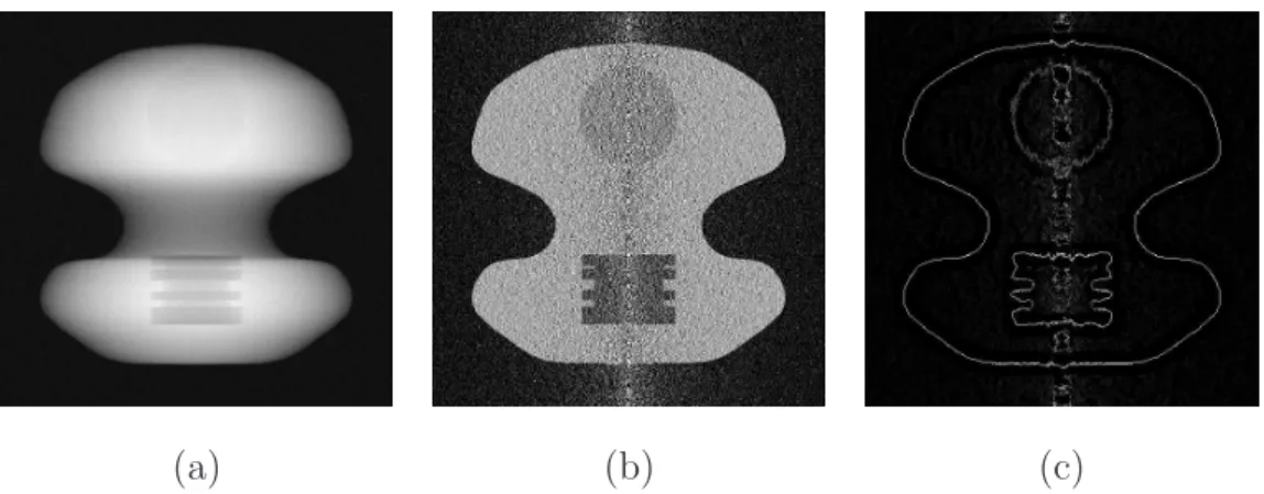Fig. 2. (a) Radiograph of the object of Figure 1. (b) Tomographic reconstruction.