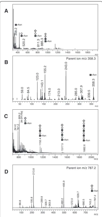 Figure 2 Reflectron MALDI-TOF and MALDI TOF/TOF analysis of urine from aspartylglucosaminuria affected patient – representative positive-ion (A) and negative-ion (C) MS spectra with positive-ion MALDI MS/MS spectrum of m/z 358.3 (B) and negative-ion MS/MS 