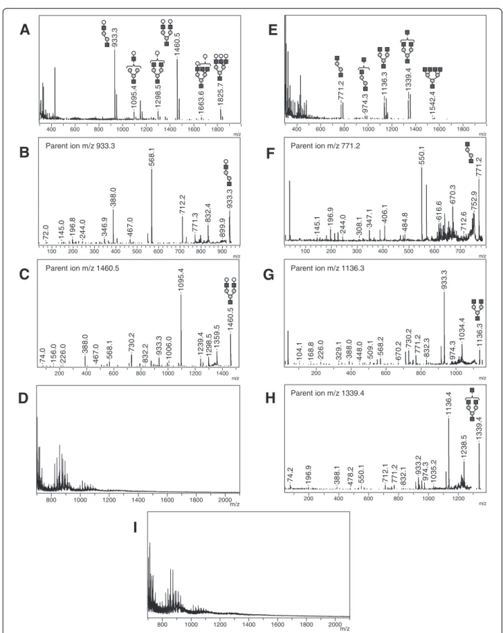 Figure 3 Reflectron MALDI-TOF and MALDI TOF/TOF analysis of urine from gangliosidosis affected patients – Representative positive-ion MS spectra of GM1 (A) and Sandhoff (E) patients with positive-ion MS/MS spectra of respective intensive peaks (B-C, F-H)