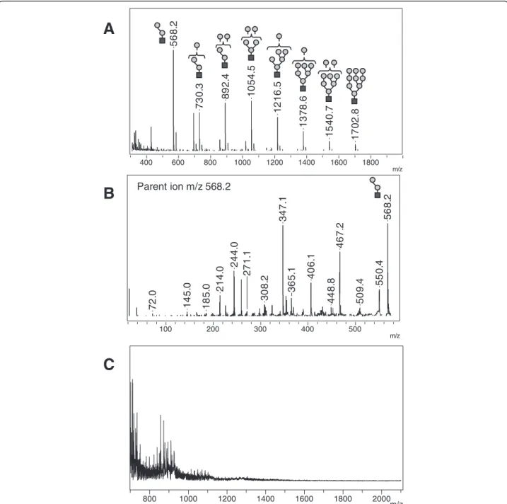 Figure 4 Reflectron MALDI-TOF and MALDI TOF/TOF analysis of urine from α -mannosidosis affected patient – Representative positive-ion (A) and negative-ion (C) MS spectra with positive-ion MS/MS spectrum of m/z 568.2 (B)