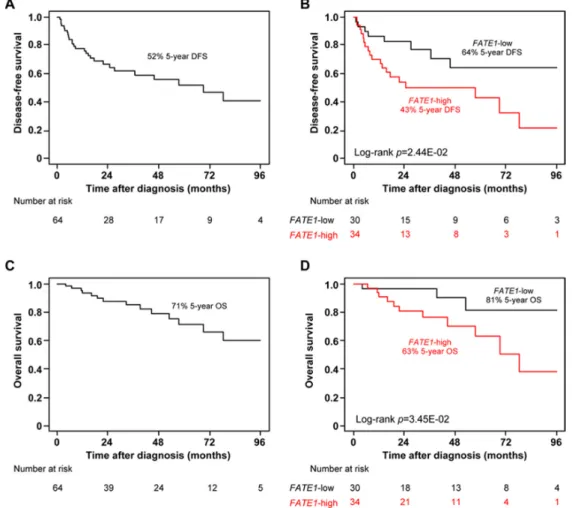 Figure 3. High FATE1 mRNA expression is an unfavorable prognostic variable in adult M0 ACC from  TGCA