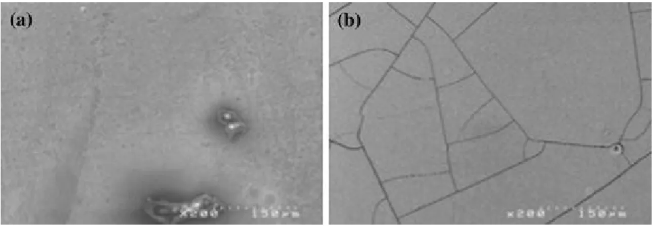 Fig. 8 SEM surface observation of (a) boron nitride coating before oxidation, (b) boron nitride coating after wet  air exposure at 700 °C