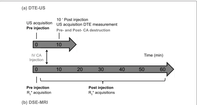Figure 1: Experimental (a) US; (b) MR protocols. The US protocol began with the CA injection