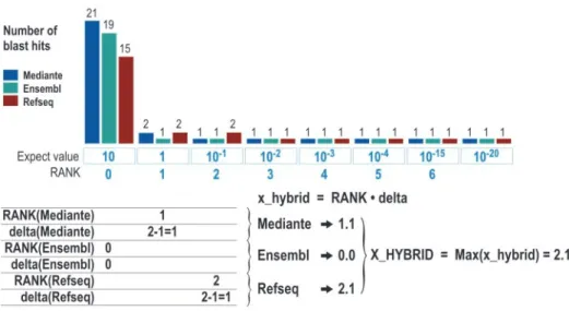 Table 1. Relationship existing between the X_HYBRID scores and the number of matching nucleotides in Blast hits