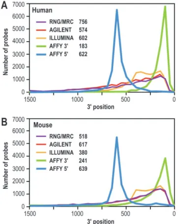 Figure 4. Distribution of the probes according to their DIST_TO_3 0 score.