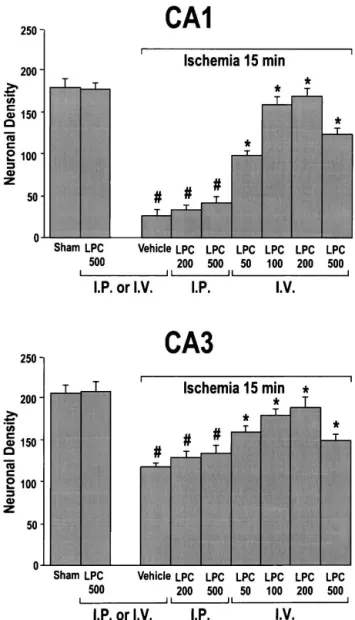 FIG. 5. Quantitative analysis of CA1 and CA3 cell survival ob- ob-tained with different lysophospholipids (LPLs;  lysophosphatidyli-nositol [LPI] and lysophosphatidic acid [LPA]) injected 30 minutes after the end of the ischemic period