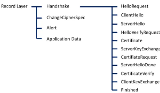 Fig.  17  details  the  structure  of  the  ClientHello  message  launched during the handshake