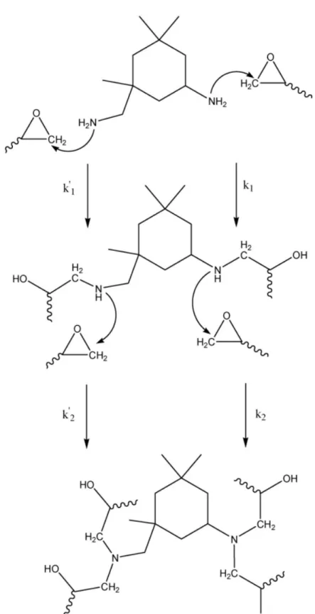 Figure 1 (a) Noncatalytic and (b) catalytic mechanism of epoxy/amine crosslinking.