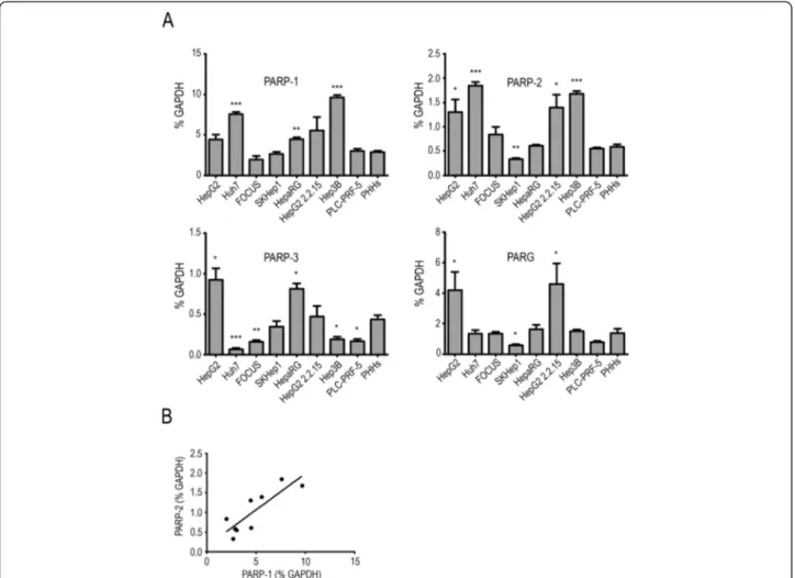 Figure 1 PARP-1, PARP-2, PARP-3, PARG genes expression in liver cancer cell lines and primary human hepatocytes