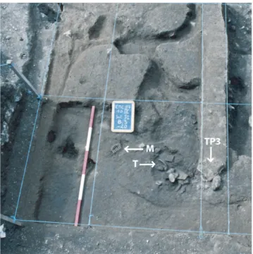 Figure 5: South side of the Bronze Age pit during excavation, looking  to the east and showing the animal tunnelling that has disrupted the  fill