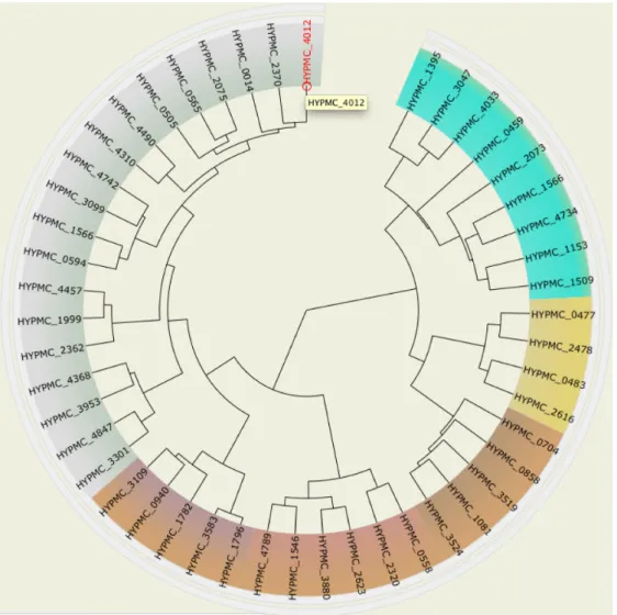Figure 1. Circular dendrogram from Hyphomicrobium sp. MC1. Each locus tag on the dendrogram provides a clickable link to a detailed gene description page.