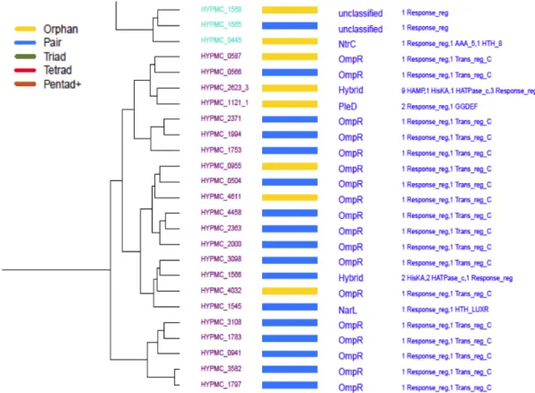 Figure 2. A section of the P2CS receiver domain dendrogram output for Hyphomicrobium sp