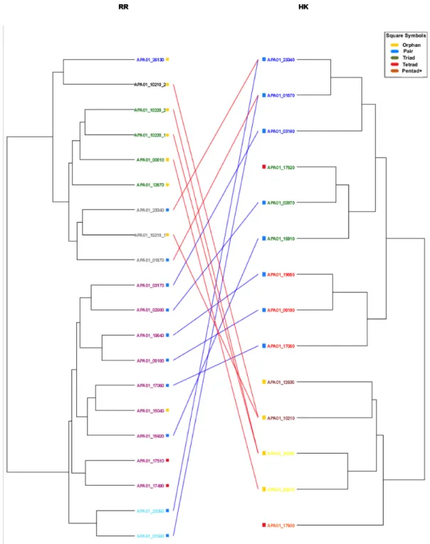 Figure 3. Paired dendrogram from Acetobacter pasteurianus IFO 3283–01. The tree of HK sequences (right) is presented opposite that of the receiver domains