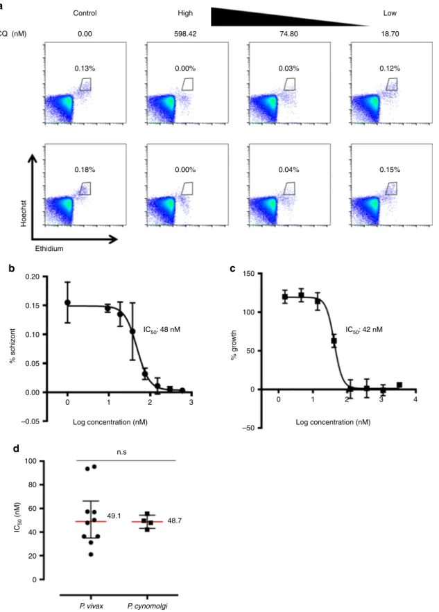 Fig. 5 Correlation of chloroquine IC 50 of P. cynomolgi Berok K4 continuous culture with P