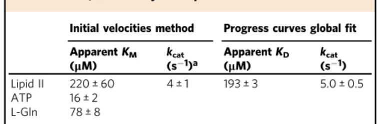 Table 1 MurT/GatD enzymatic parameters