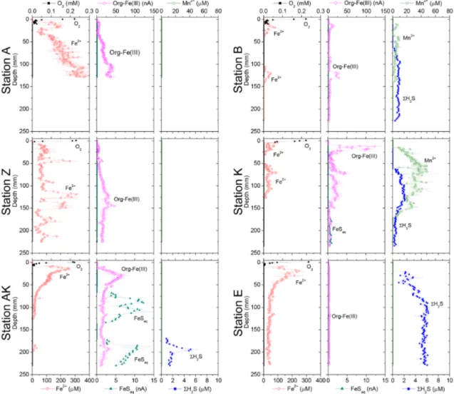 Figure 4. Depth profiles of dissolved O 2 , Mn 2+ , Fe 2+ , org-Fe(III), FeS aq and 6H 2 S concentrations measured electrochemically in intact sediment cores at stations A, Z, AK, K, B and E