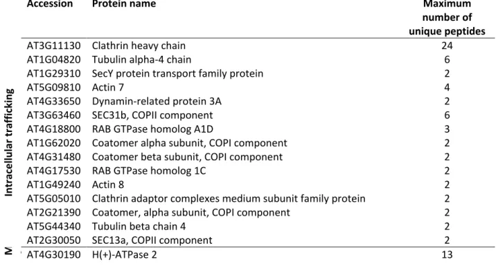 Table 1. IRT1 interactants involved in intracellular trafficking or metal homeostasis