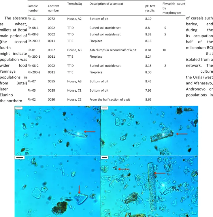 Fig. 9 An example of diatom (top left) and phytoliths found at the Botai site. Scale bars = 10 μm